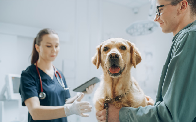 pet hospital laundry